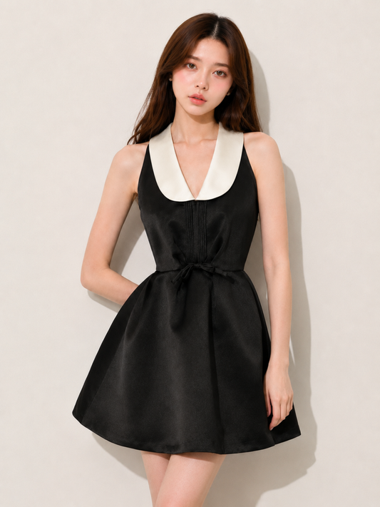 Contrast Collar Flare Dress