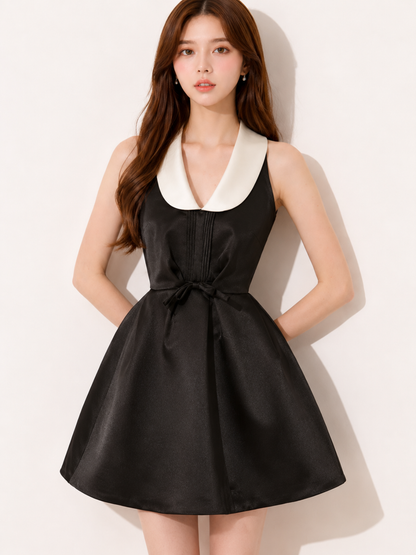 Contrast Collar Flare Dress